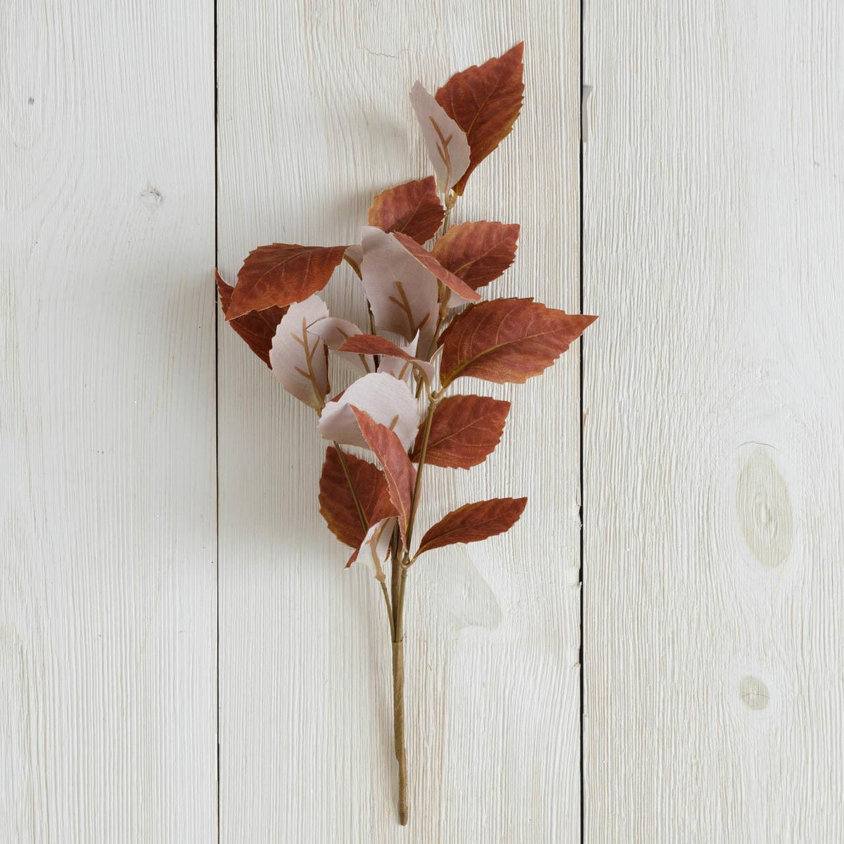 Brown Fall Leaves Pick