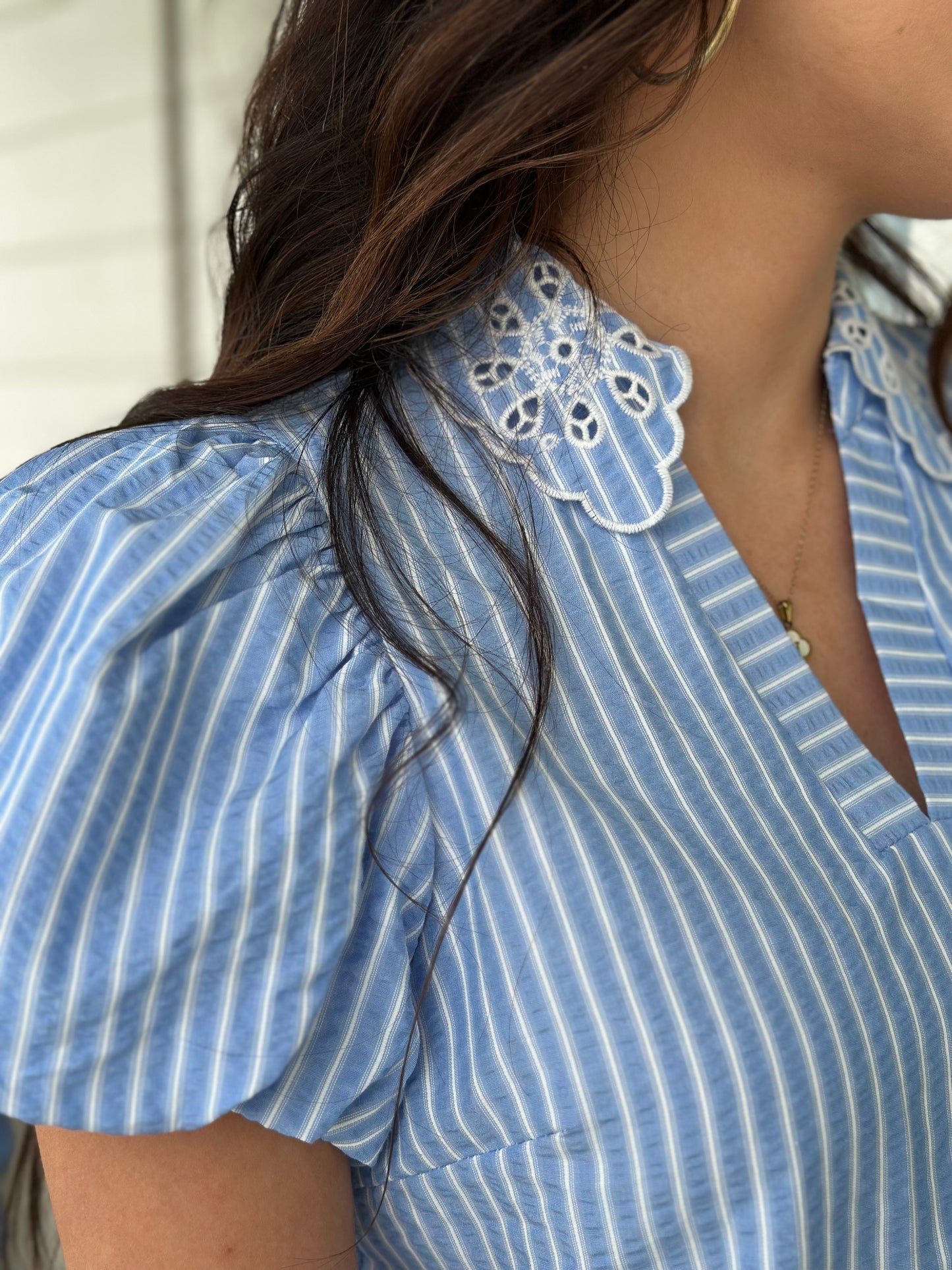 Blue Pinstripe Embroidered Top