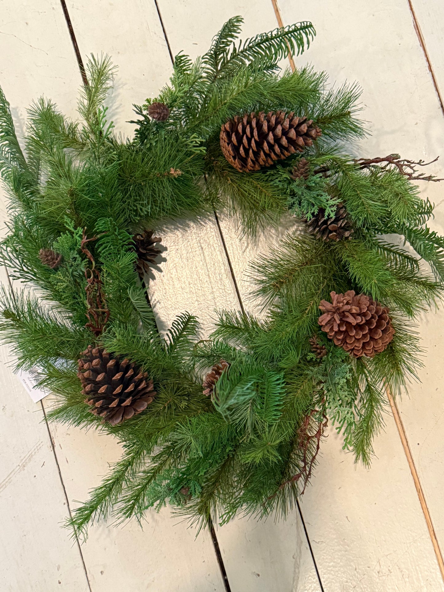 Carolina Evergreen Wreath | 24"