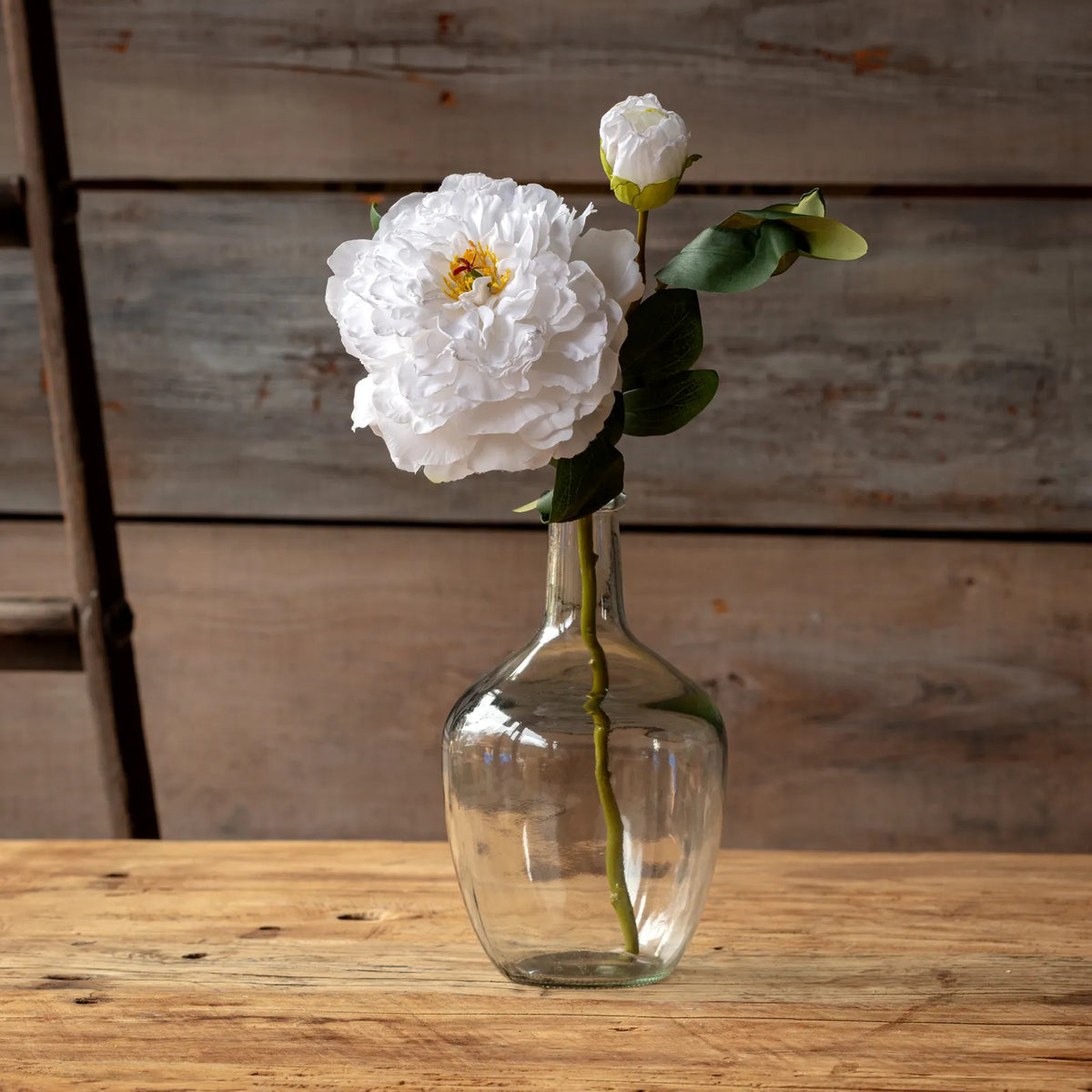 Royal Peony-Bridal White