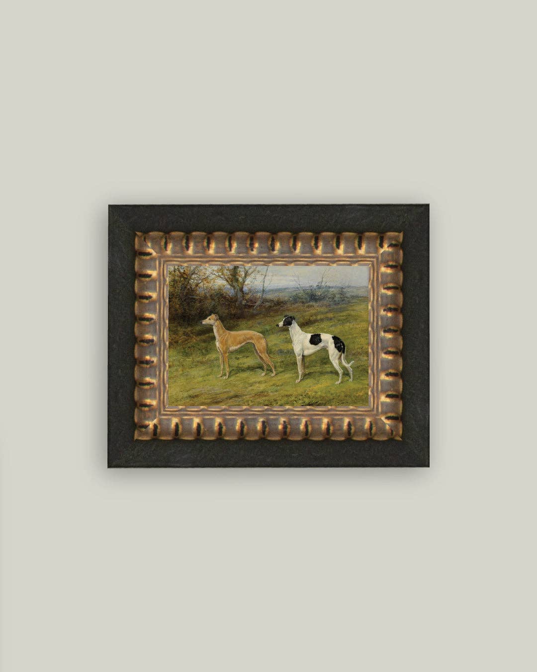Greyhound Whippet Dogs: 7x5