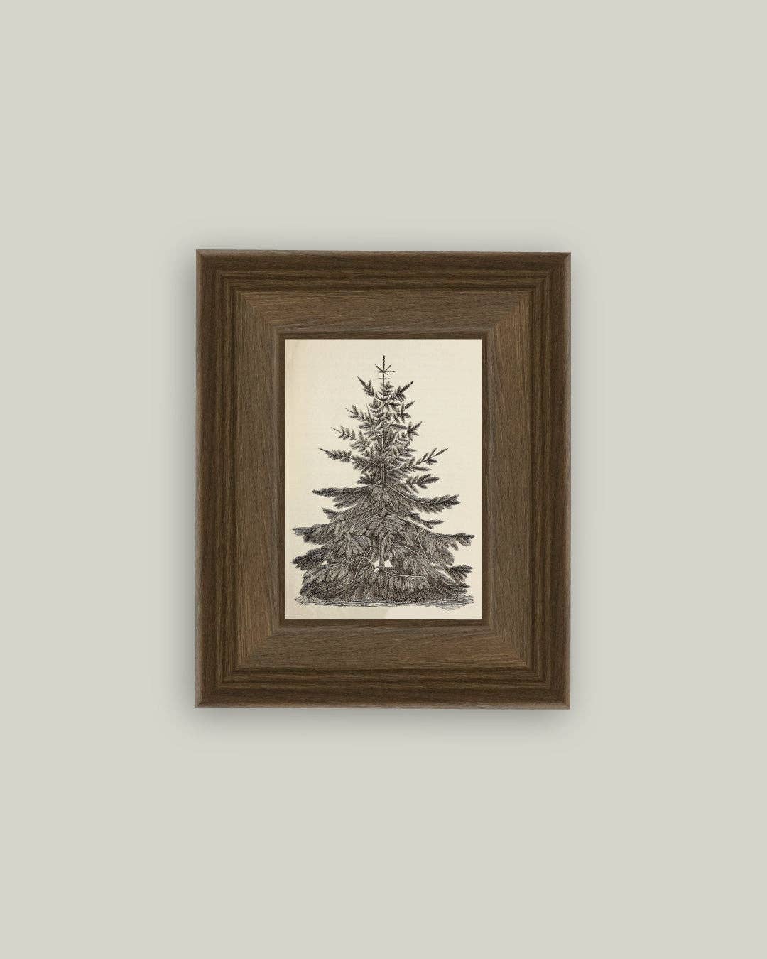 Vintage Pine Tree Framed Antique Art | 5x7