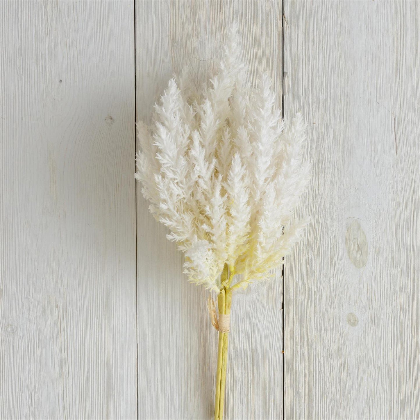 Branch Pampas Plumes, Natural