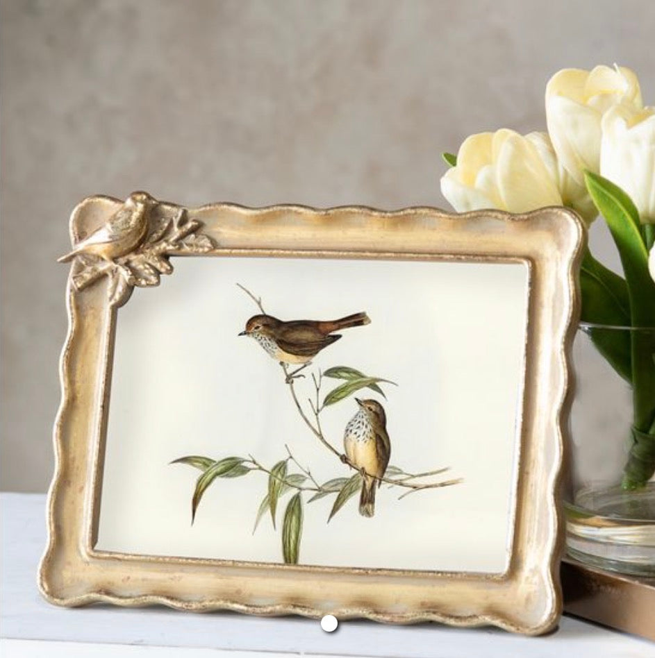 Golden Songbird Accent Frame