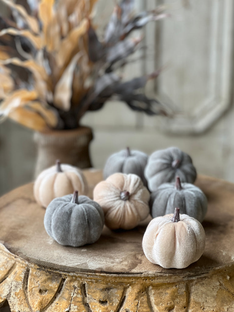 Cream/Blue Velveteen Pumpkins