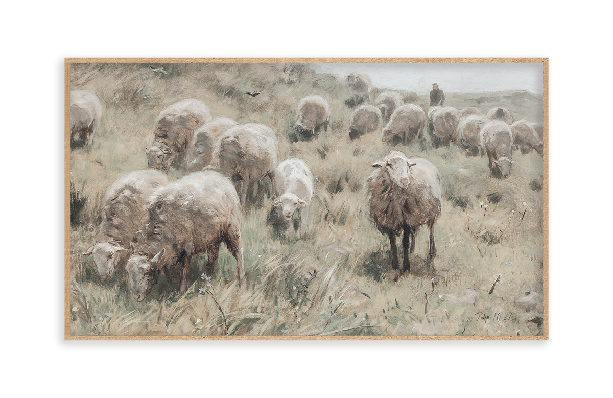 The Entire Watercolor Collection: Lost Sheep, Gallery Wrap (Frameless)