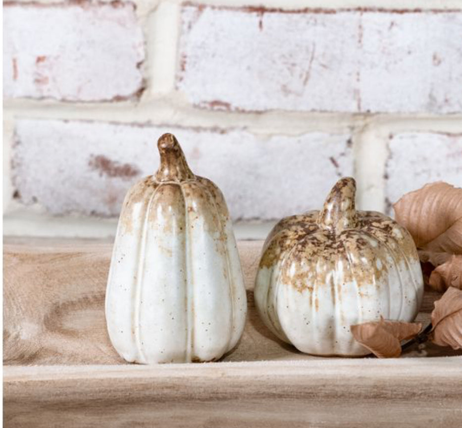 Rustic Stoneware Pumpkin & Gourd