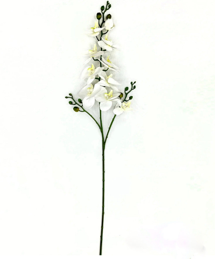 Triple Butterfly White Orchid