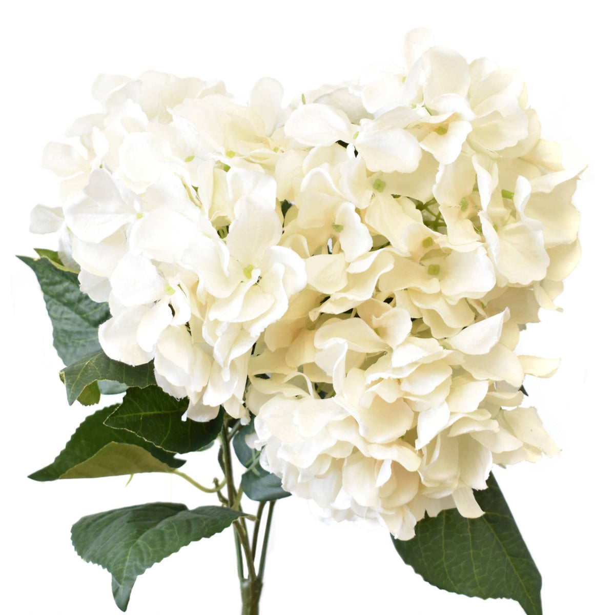 Garden Hydrangea Bush-linen