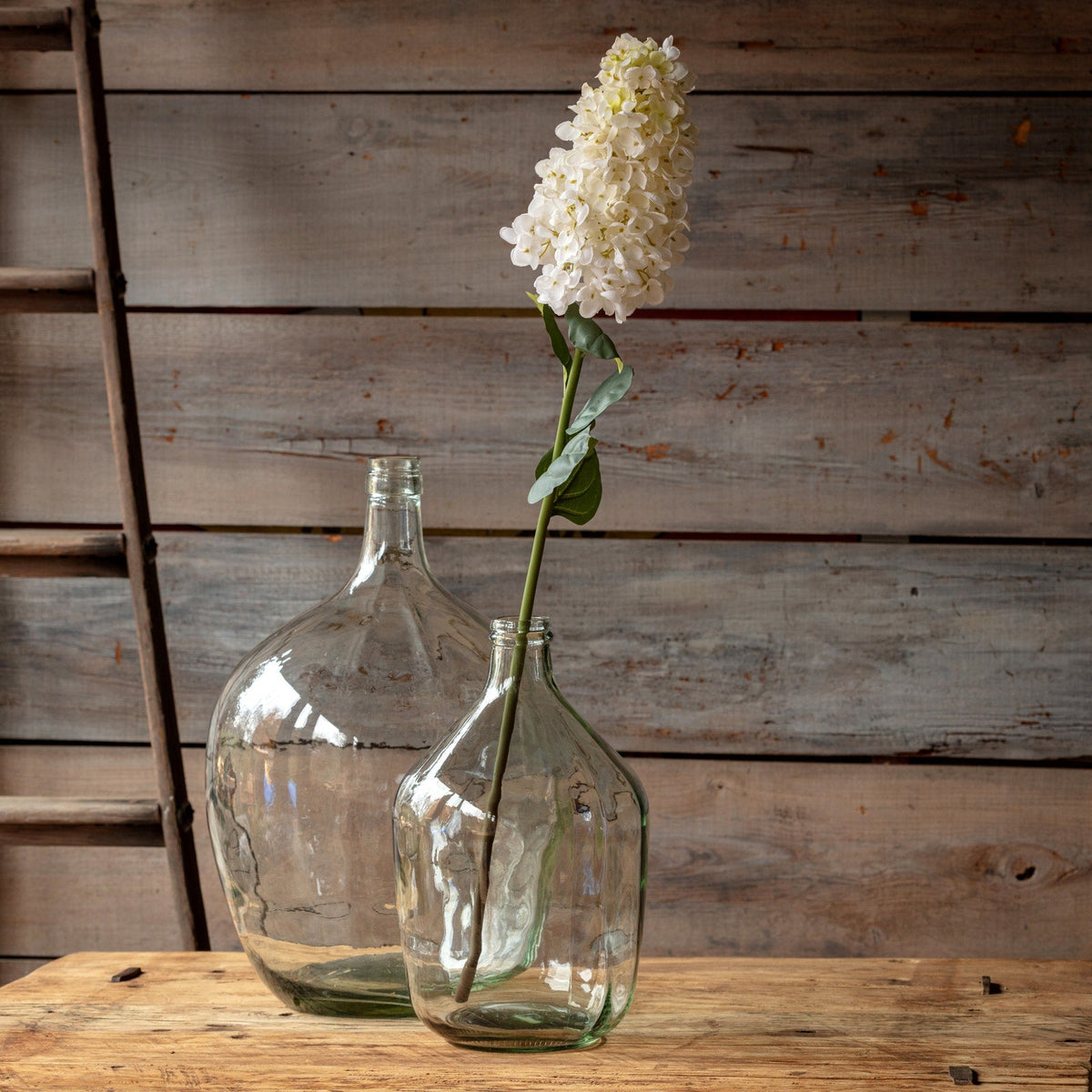PeeGee Hydrangea Stem – Creamy White