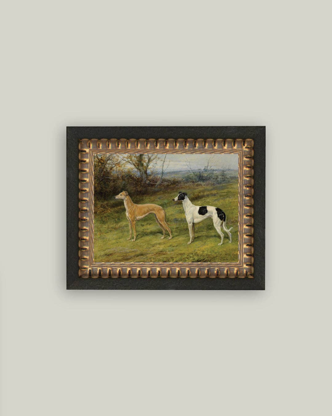 Greyhound Whippet Dogs: 7x5