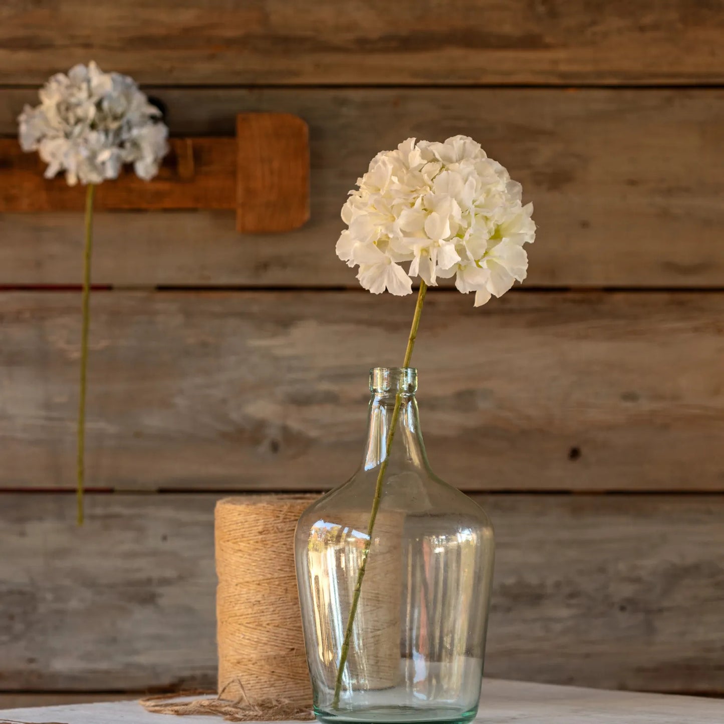 White Hydrangea stem