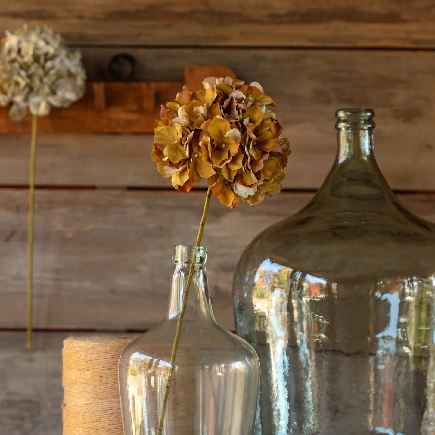 Late Season Green Hydrangea Stem – 24"