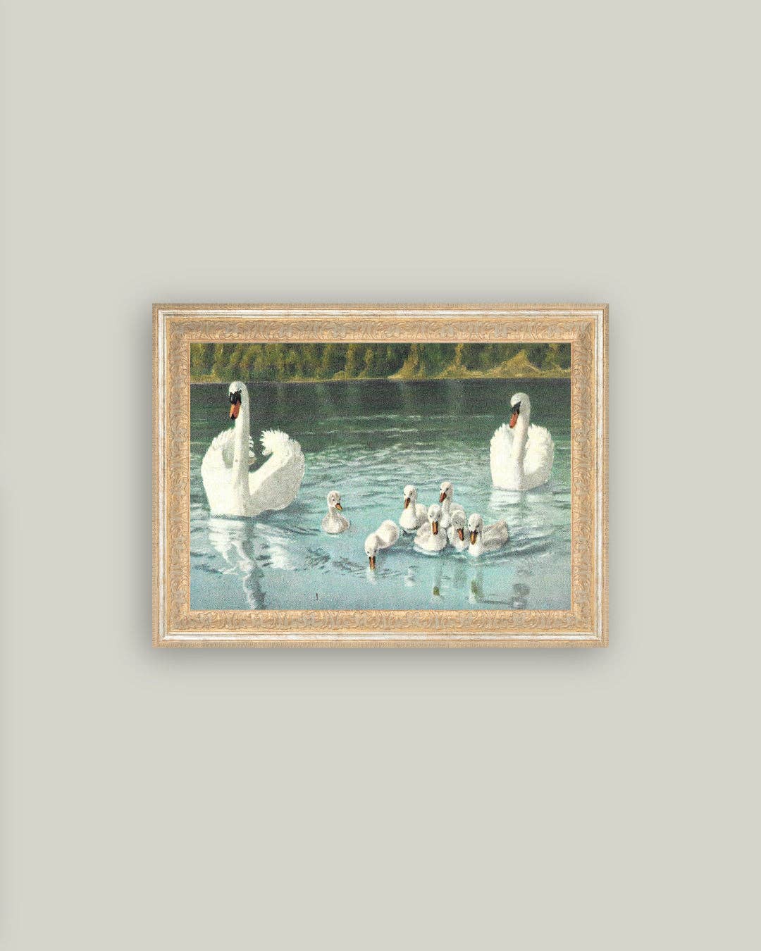 Swan Family Framed Antique Art: 12x10