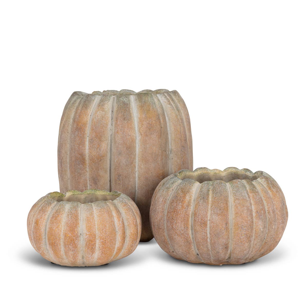 Large Low Pumpkin Planter-6.5"W