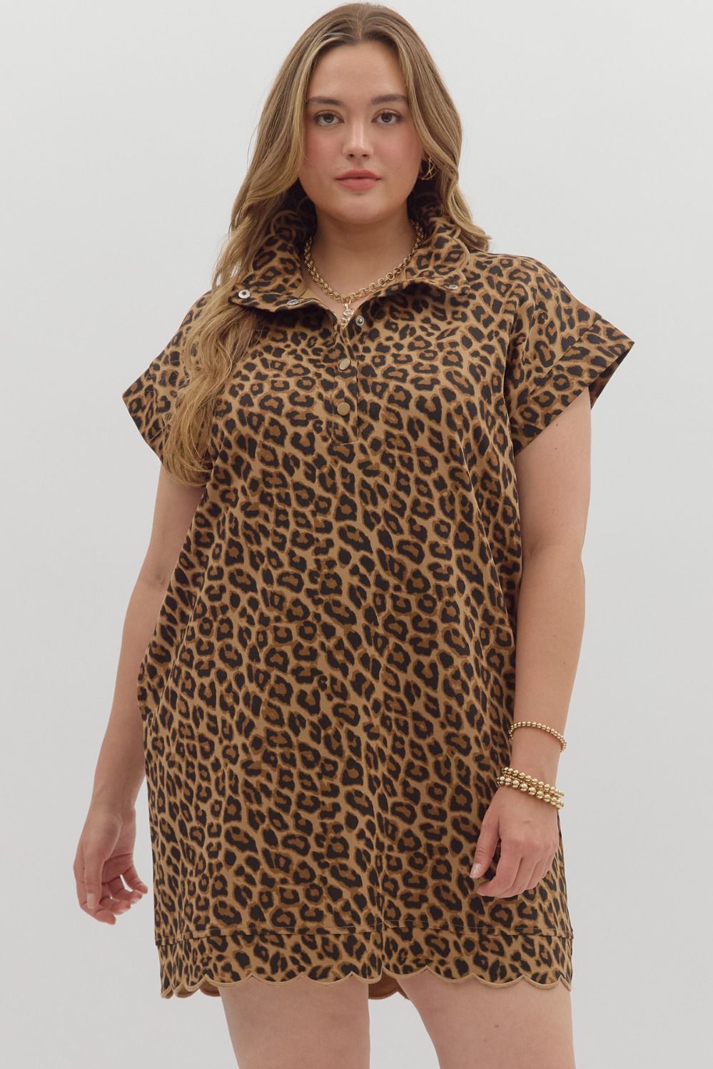 Fierce & Flawless Leopard Dress – Curvy
