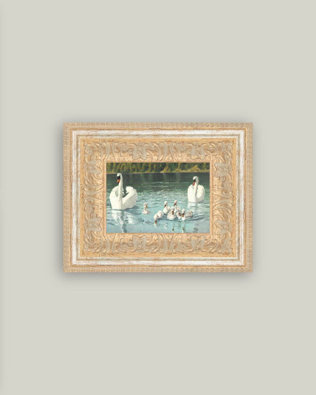 Swan Family Framed Antique Art: 12x10