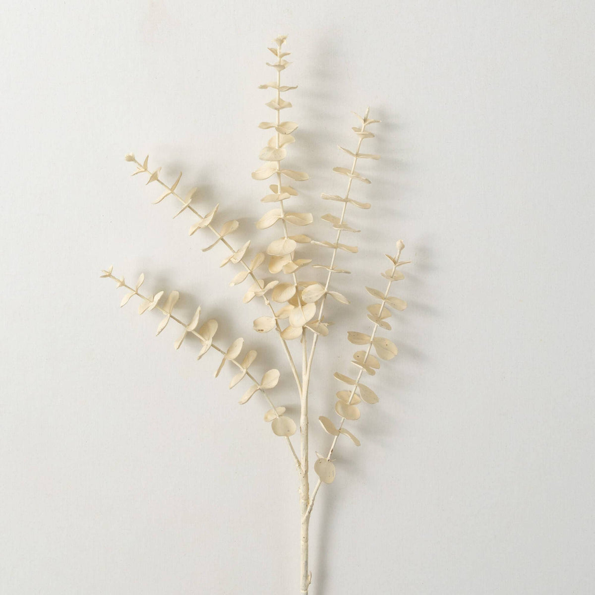 Cream Eucalyptus Spray: 27"
