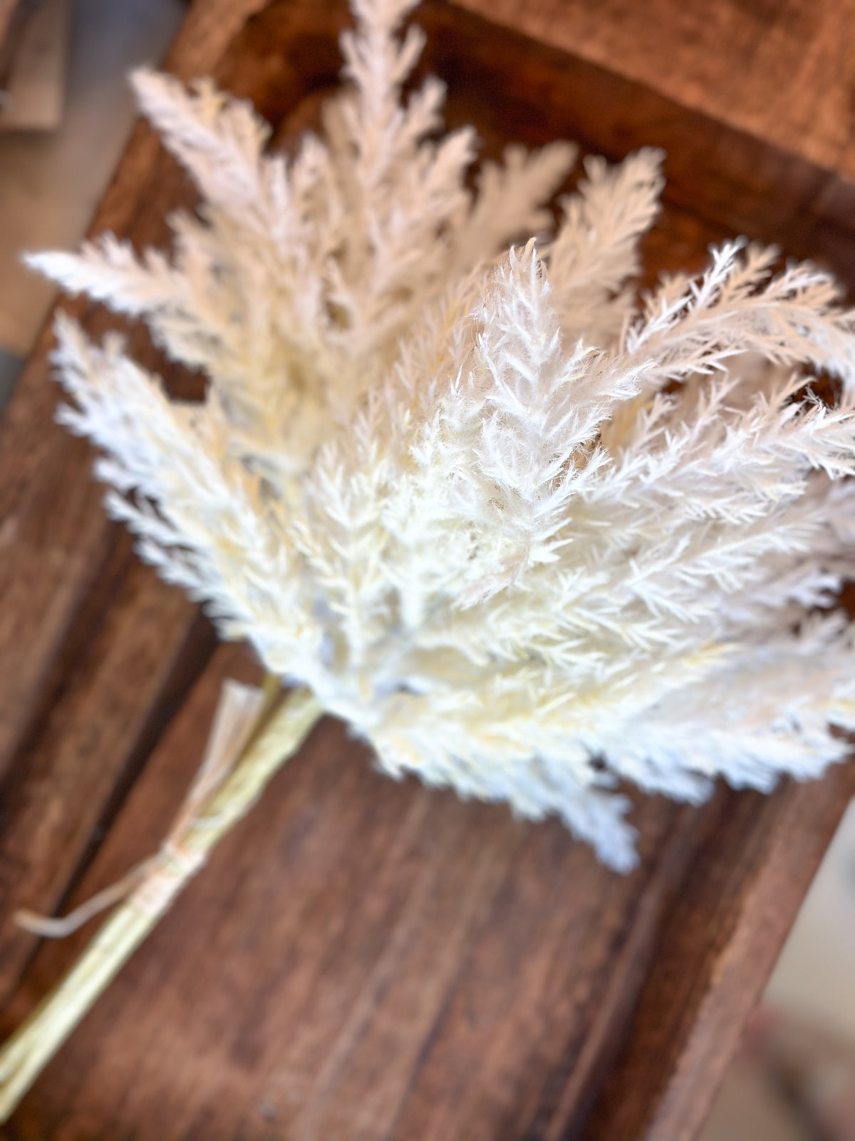 Branch Pampas Plumes, Natural
