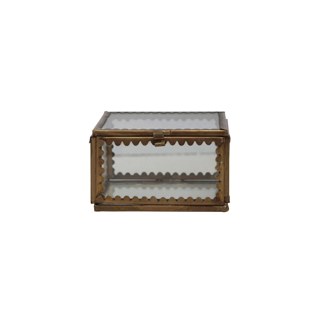 Scallop Edge Display Box-small