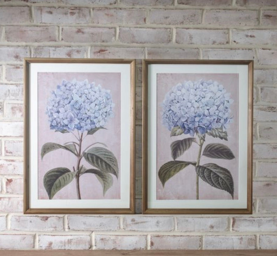 Hydrangea Print Wall Art