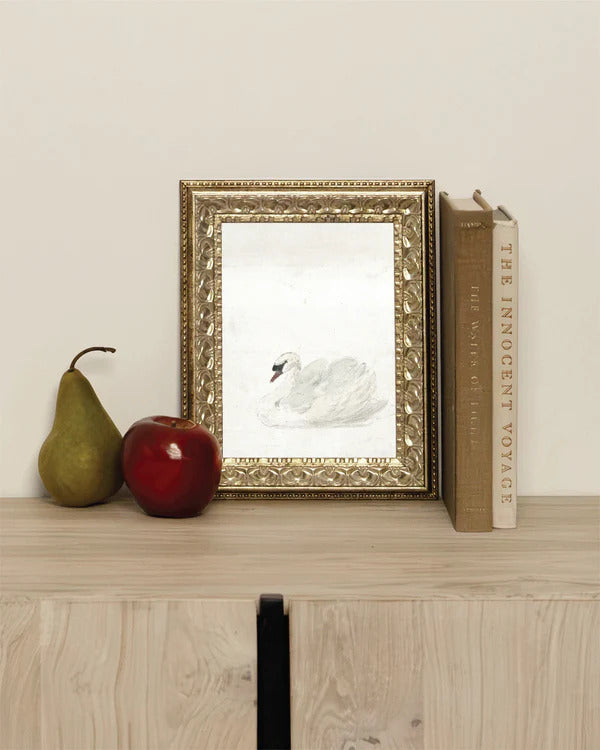 Swan Canvas/Frame