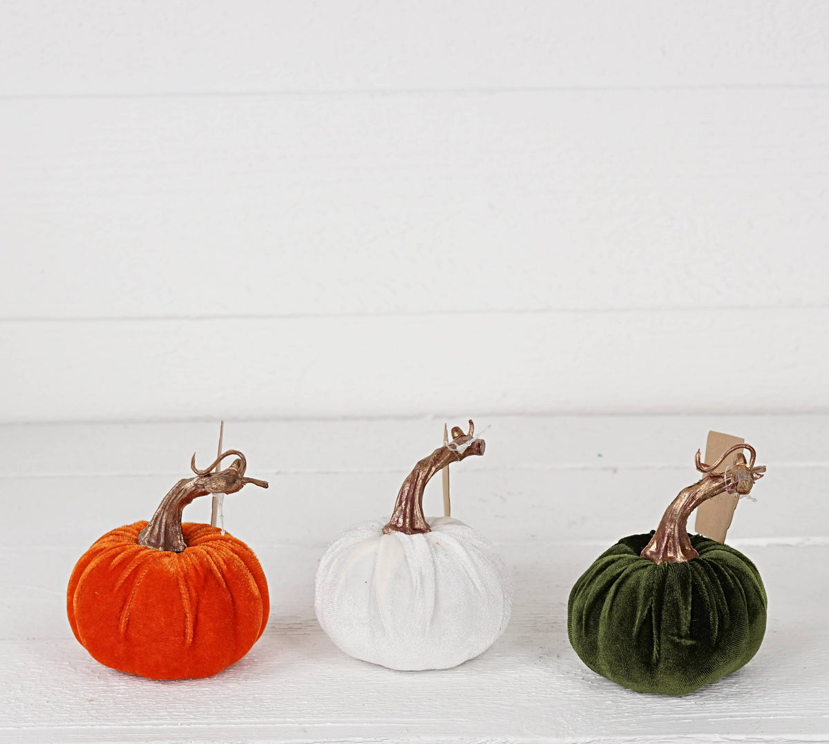 4in Velvet Pumpkin w. Golden Stem-Green
