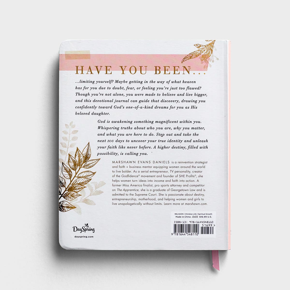 100 Days of Believing Bigger - Devotional Journal