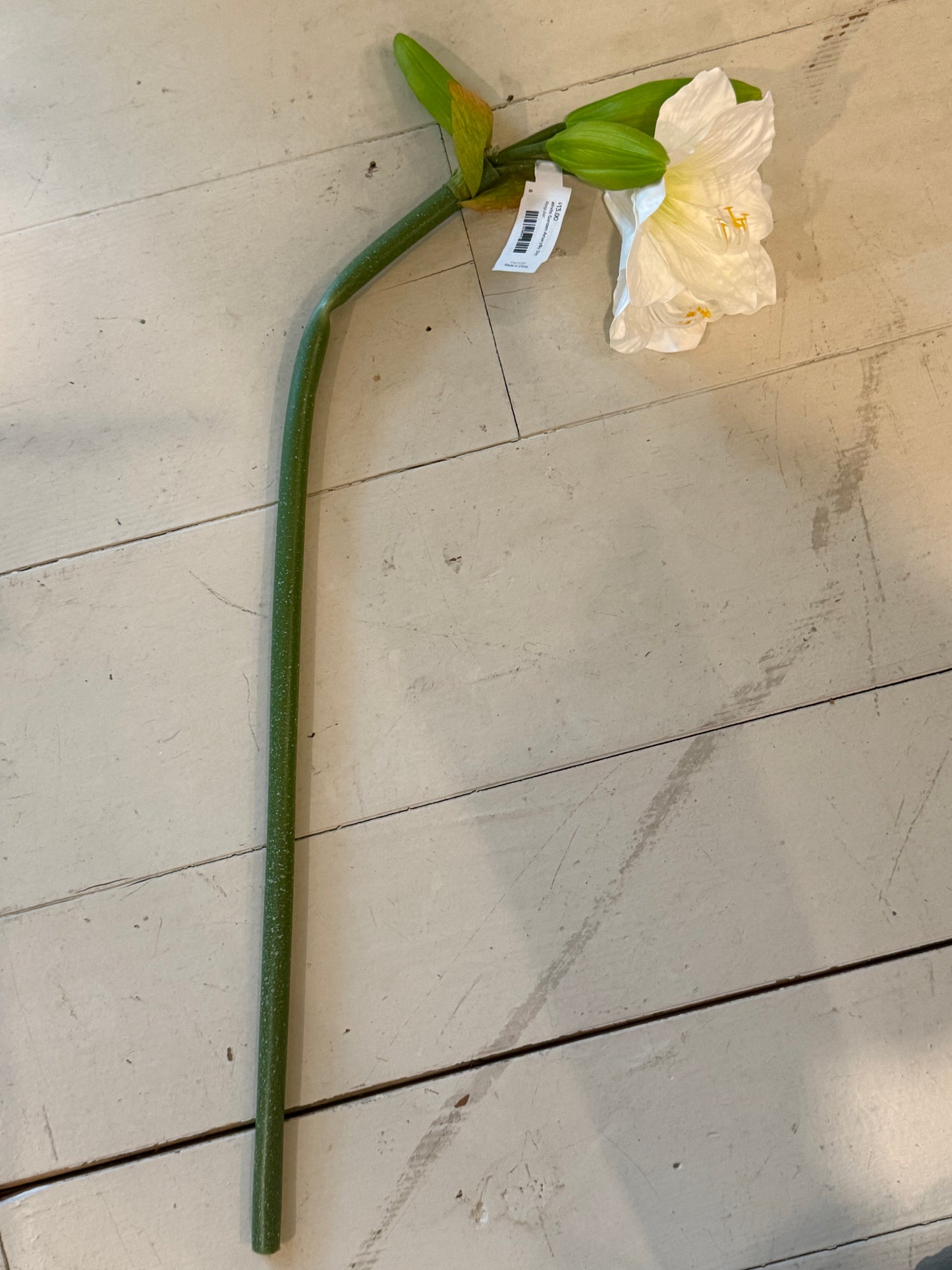White Garden Amaryllis Stem – 29"