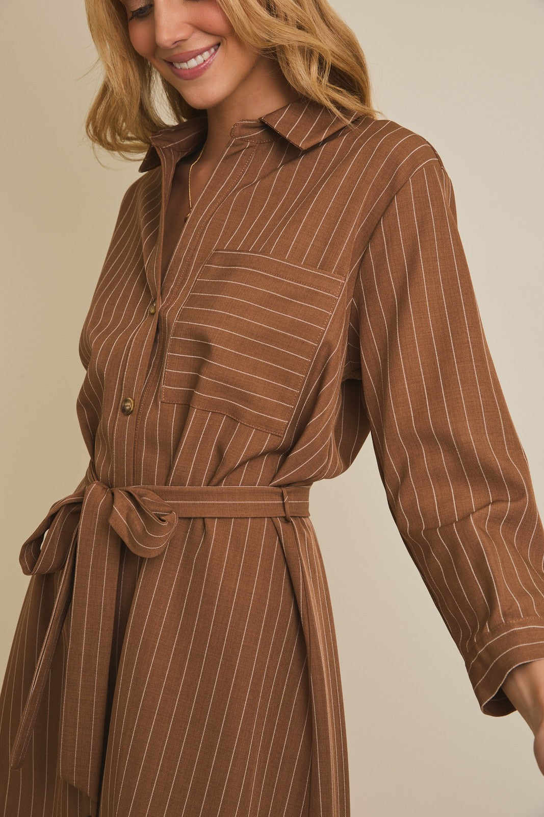 Sienna Stripe Belted Dress
