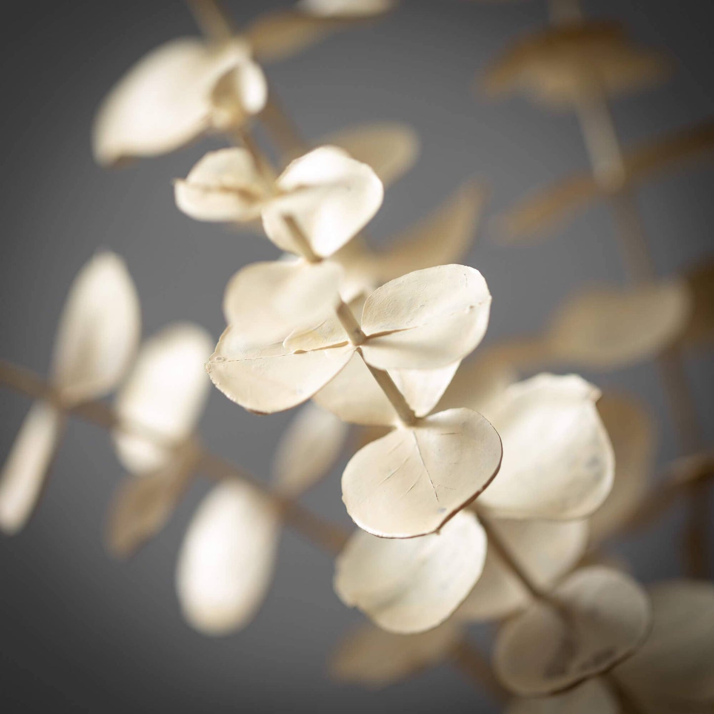 Cream Eucalyptus Spray: 27"