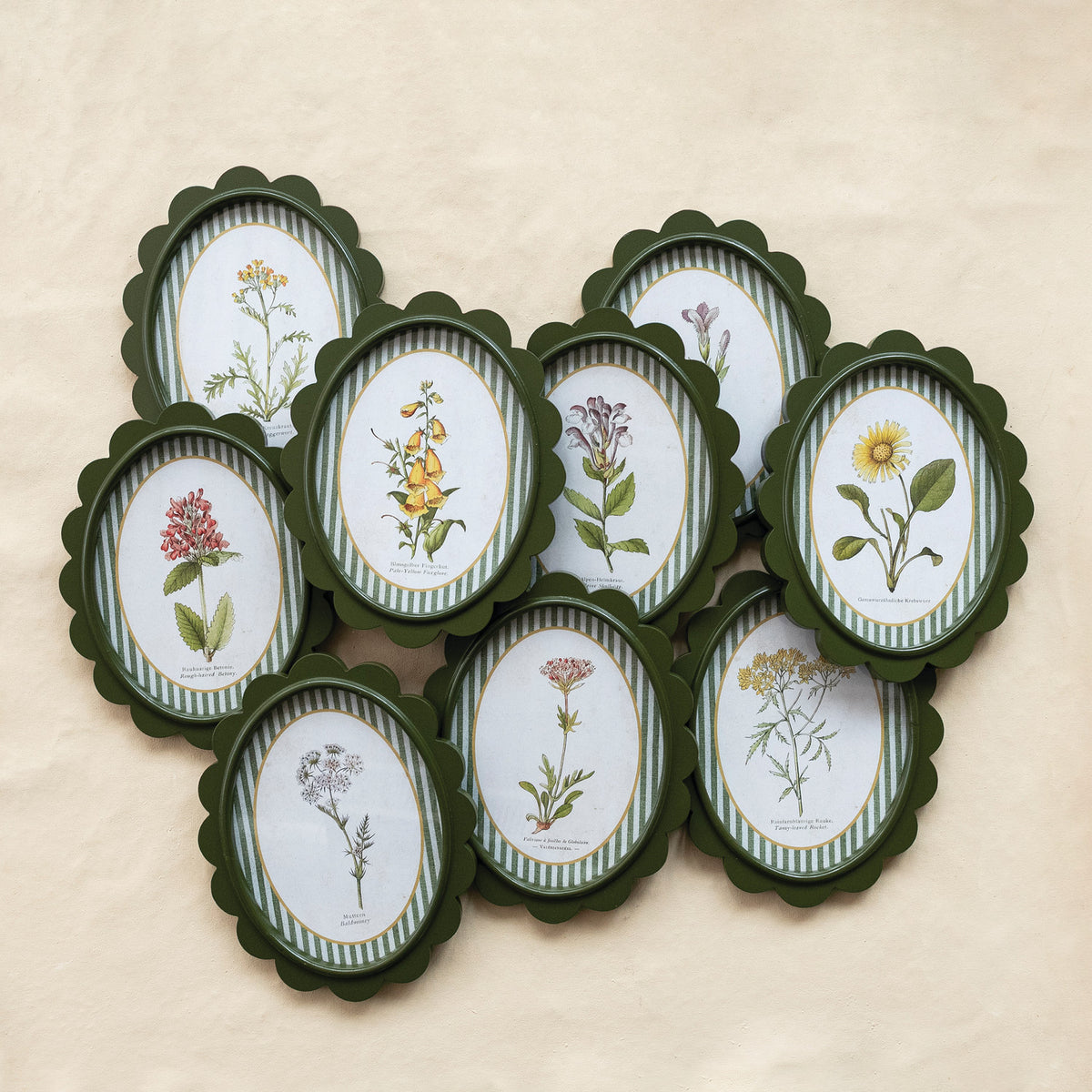Oval Framed Glass Scalloped Wall Decor with Flower & Striped Mat, 9 Styles