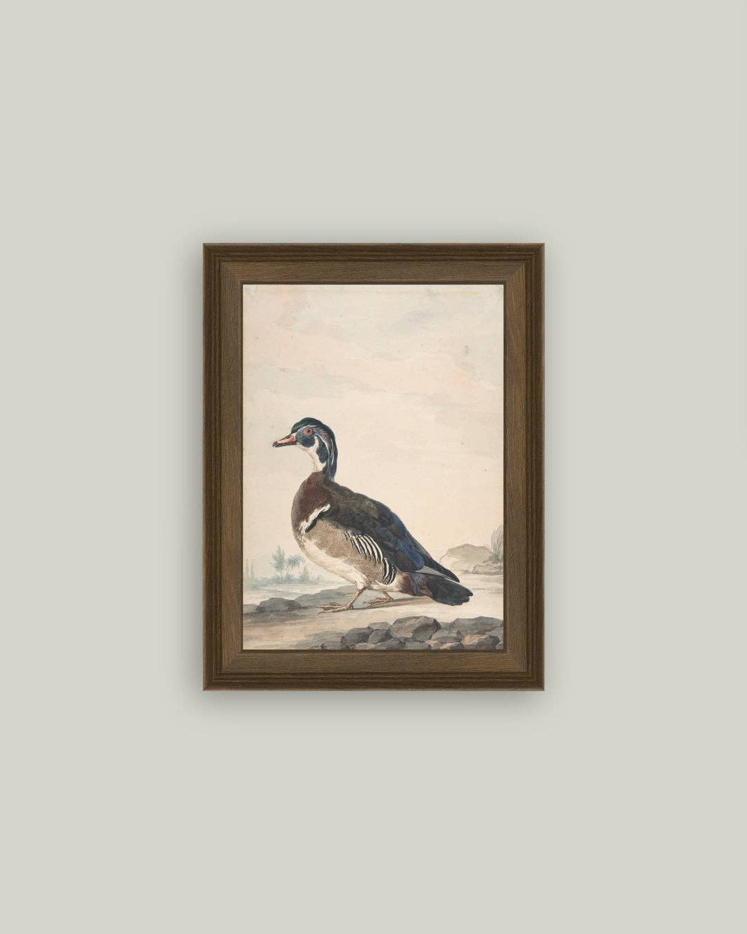 A Duck: 5x7