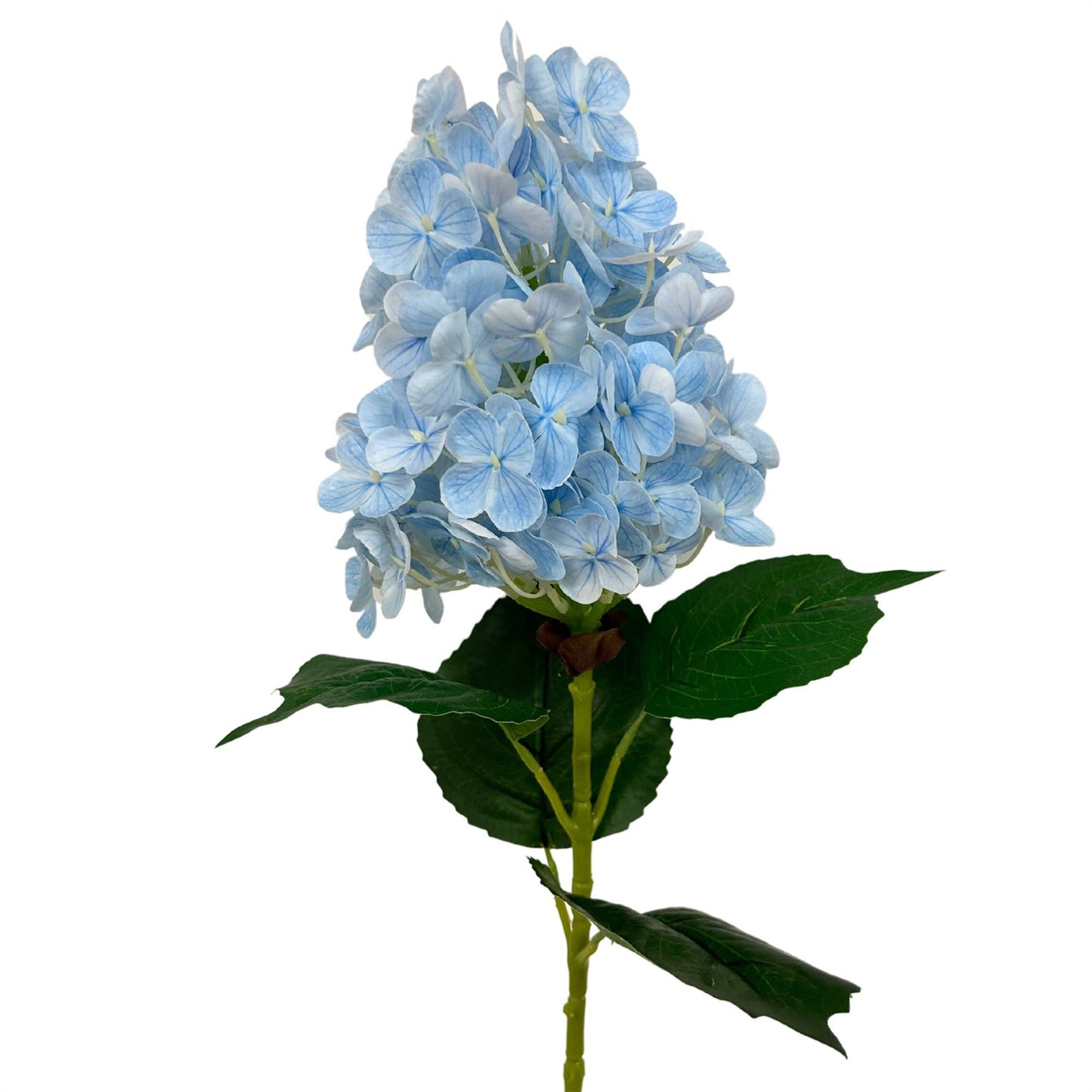 Fresh Touch Cone Hydrangea Stem - Blue - 29”