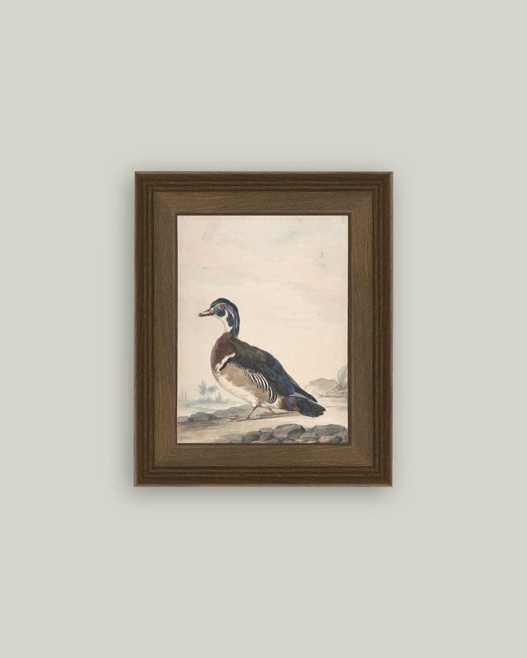 A Duck: 5x7