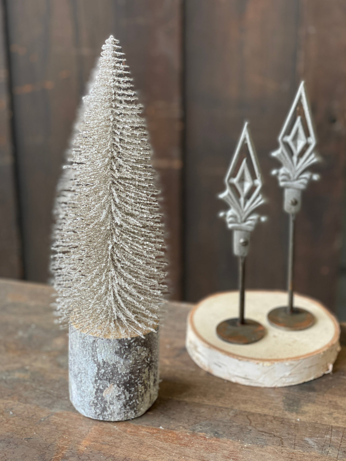 Snowy Foxtail Pine Tree | 12"