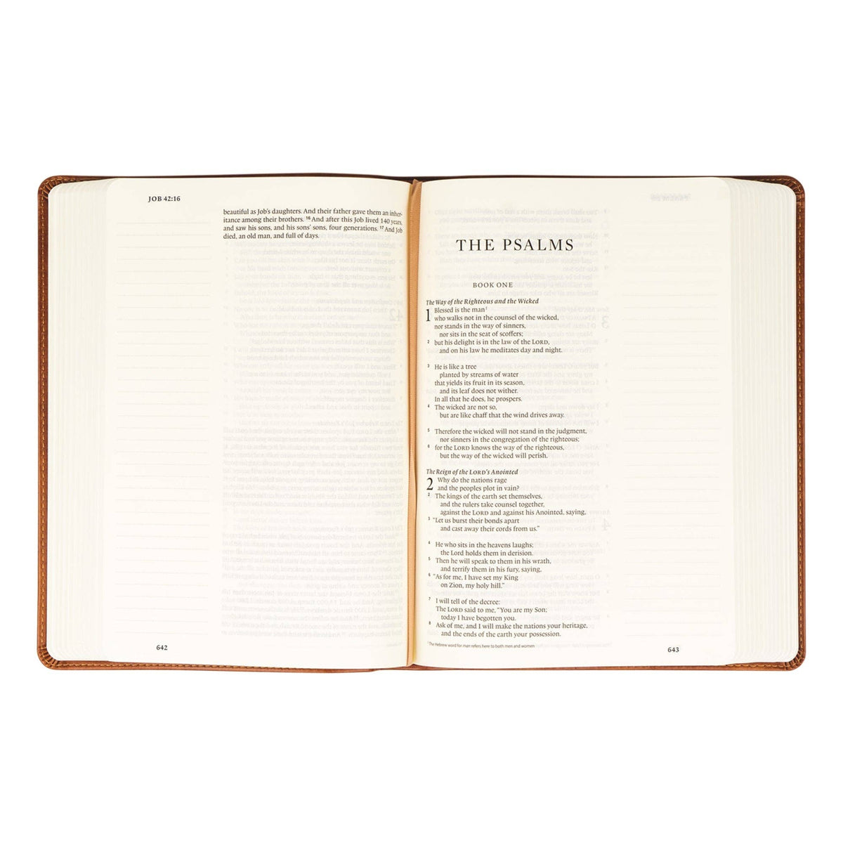 ESV Large Print Journaling Bible : Sierra Theme