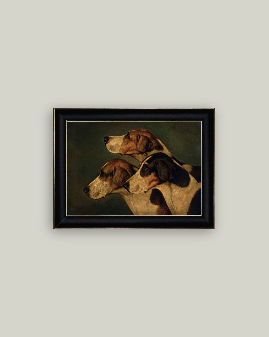 Three English Foxhounds: 7x5